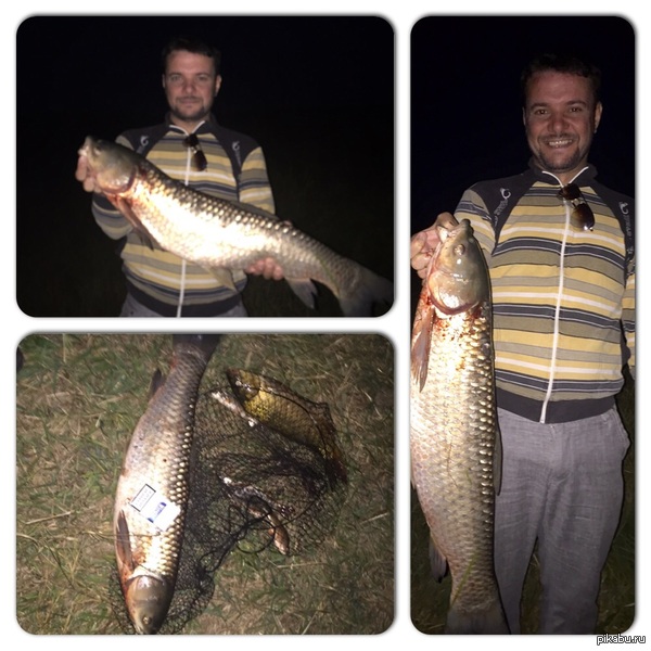 Мой первый Амур. 6+.