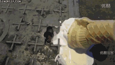   ...:3 