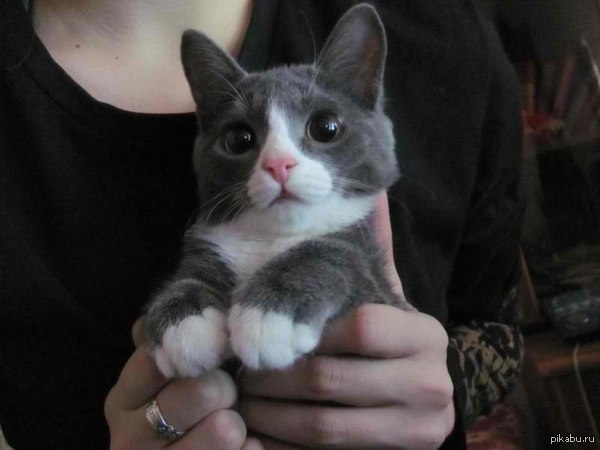 ����� :�