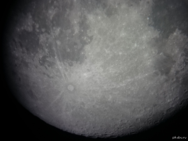 ���� � ���������