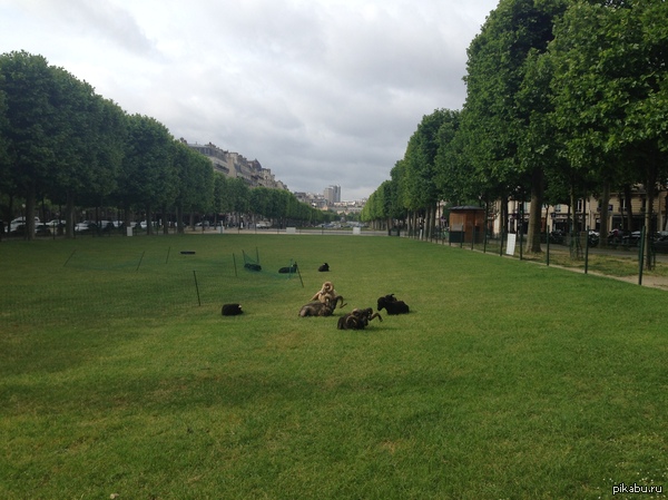 ������������� ��-��������