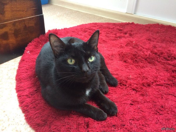 ����������� ������! ����� ���� � ������� ����!