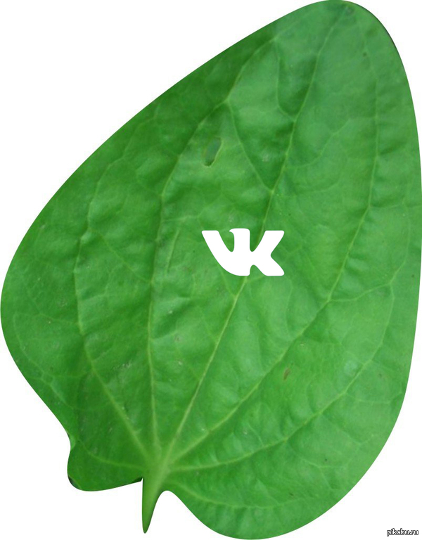 VKontakte plantain + life hack that works with almost any drop in VK. - My, In contact with, Disease, Life hack, Music