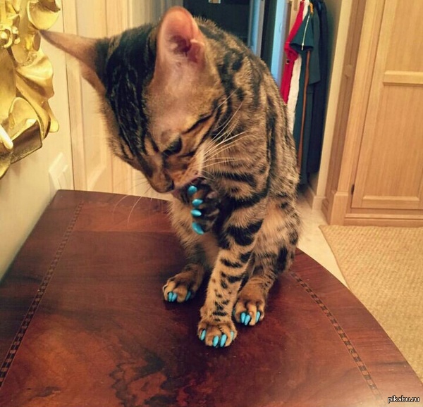 �������� �������� �����...