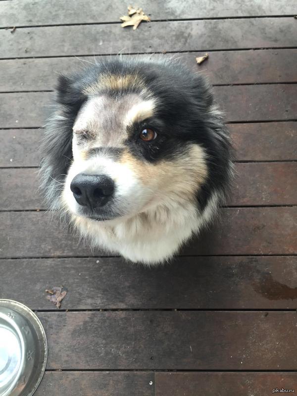 &quot;        &quot;