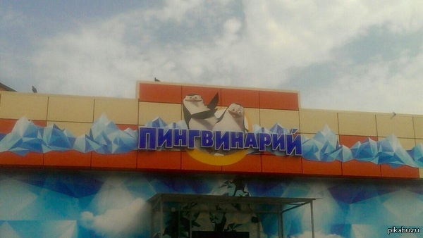 Пингвинарий