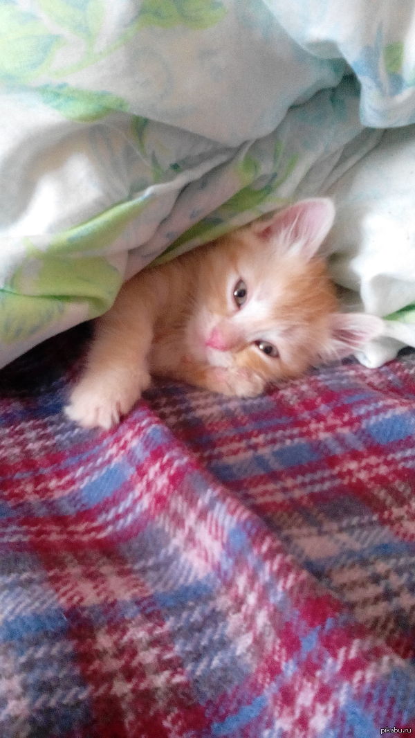 ����� ��������� � �����