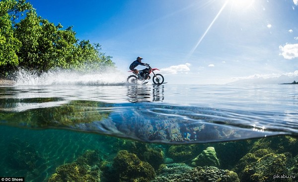 ����� ��������,����...