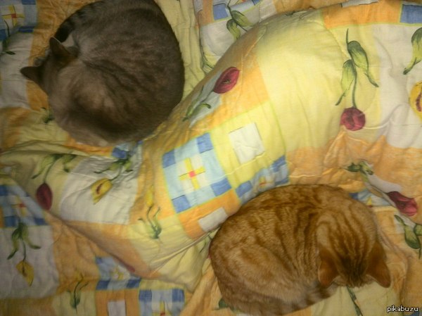 ��� � �� ��� ��� ��������� � �������� ������