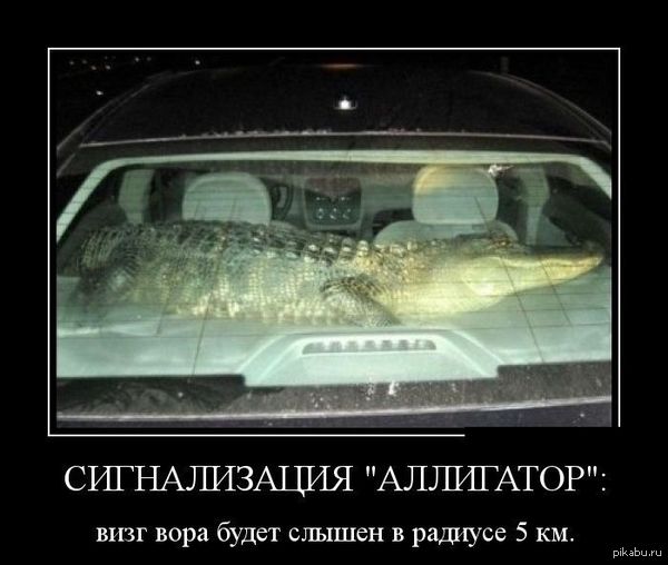 ������� ��� �� ����������� ������� !