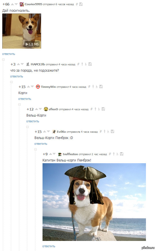 ����� - ��� ��� �� ������ ���) ��� �� ��� � ����� ������)