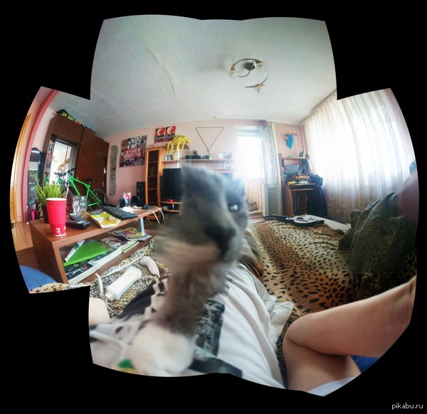 ������� ����� ��������