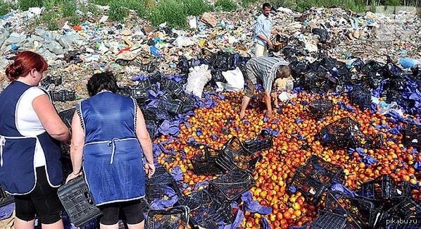 Что позорнее Президента с Указом уничтожать еду? ЭТО: "Народ много вынес,он возмутится"? ЩАЗ... Народ ВЫНЕС. Останки еды...