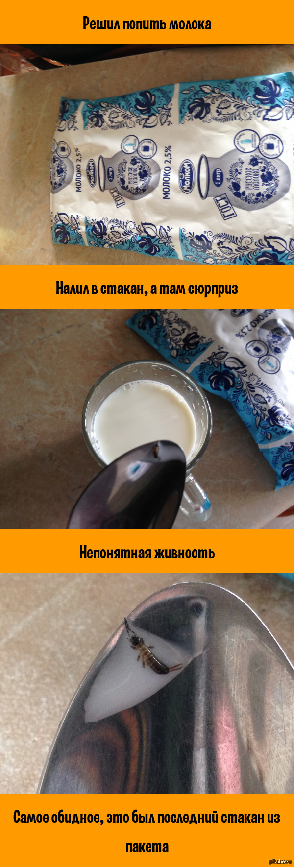 ����� ���� ������