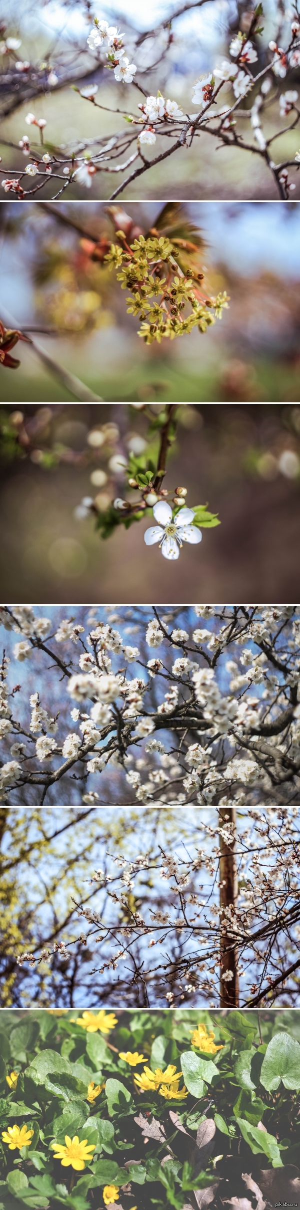 �������� ����������