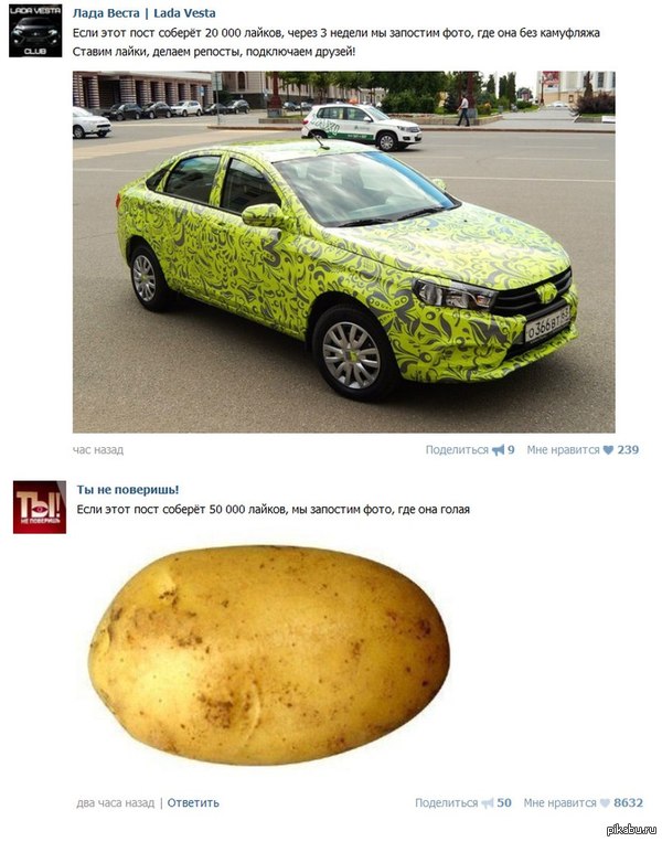 Когда пора делать ставки