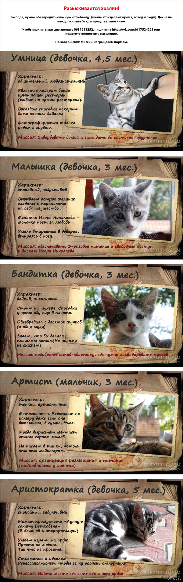 Разыскивается хозяин!