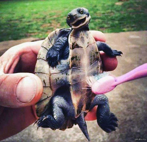 �� �����-������ ������ �������� ����������?