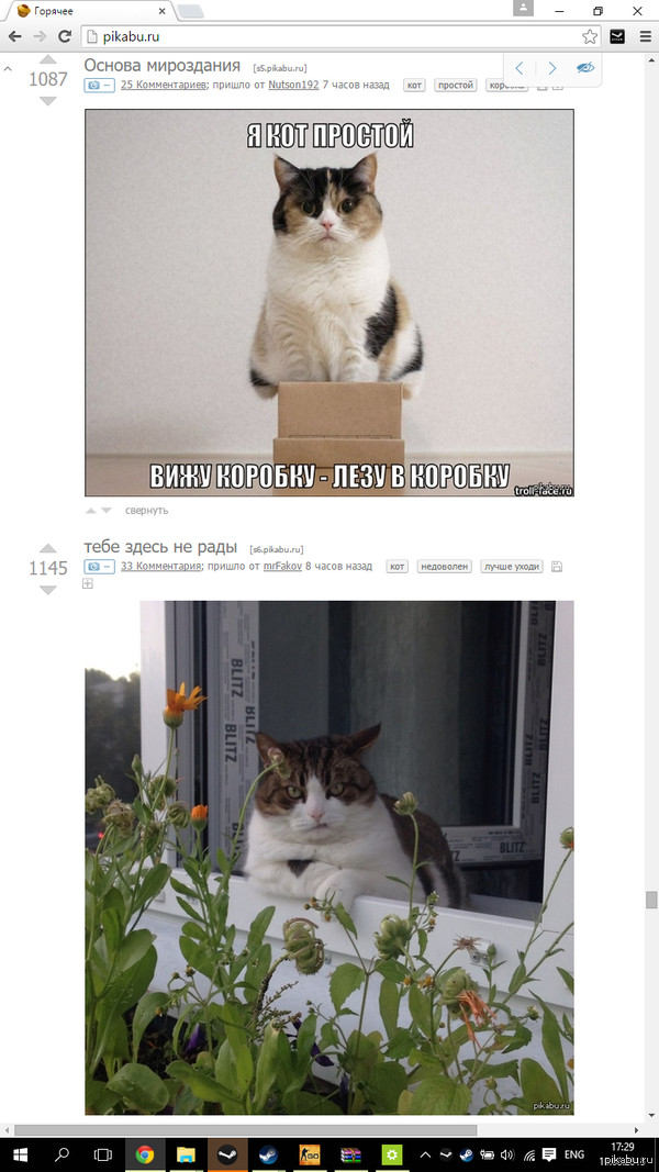 ���� ����� �� ����