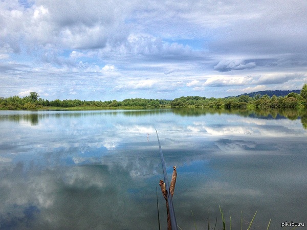 ����� ���� � �������.