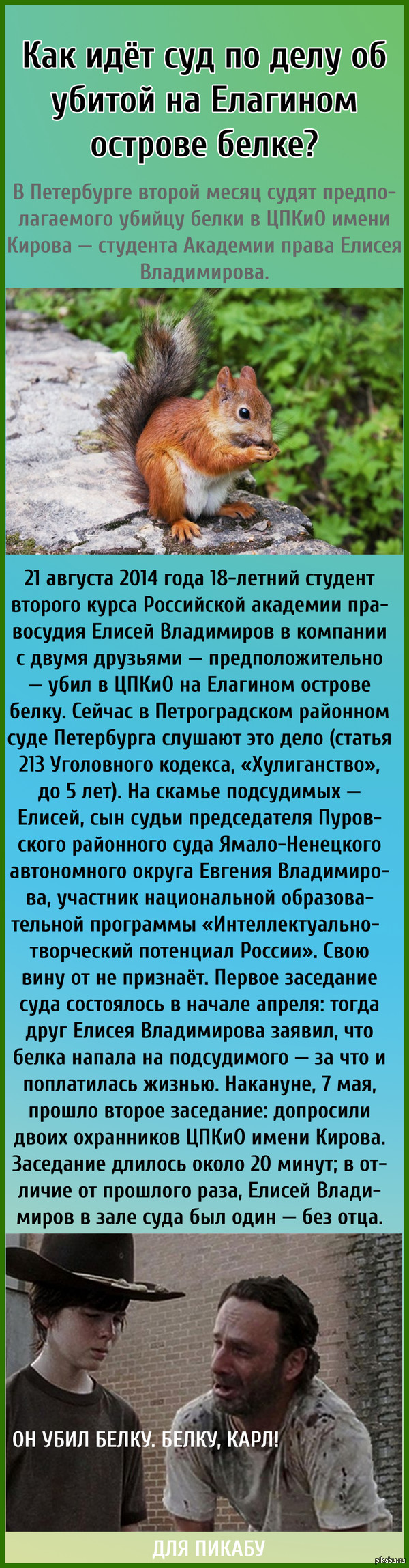 Белка: истории из жизни, советы, новости, юмор и картинки — Все посты,  страница 4 | Пикабу