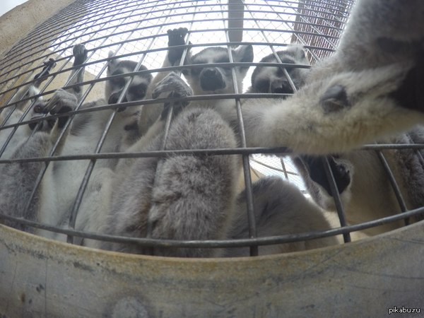 ������ ������ ������ �����, ������ ����������, ������ ������.