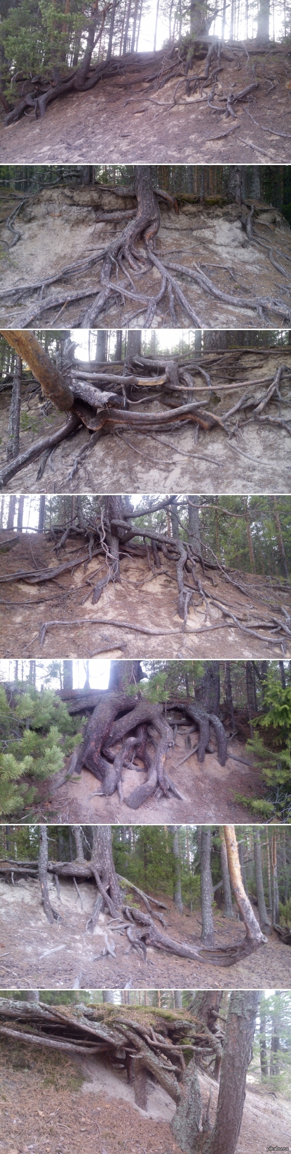 �������� �����.