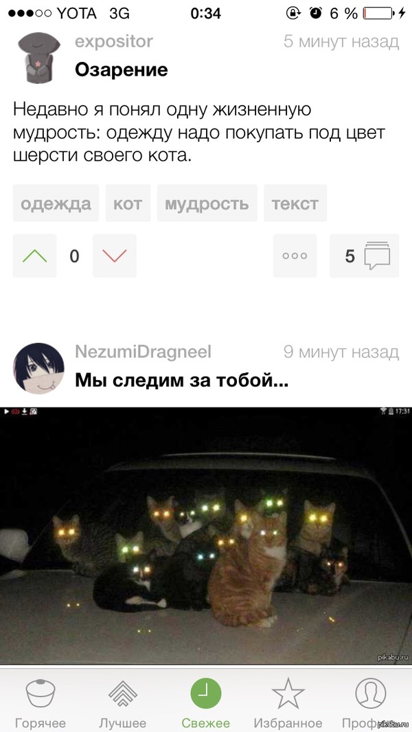 ����������?