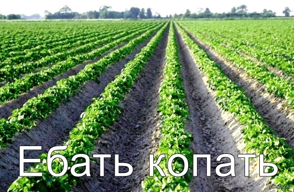 ����� ��������� ���� � �������