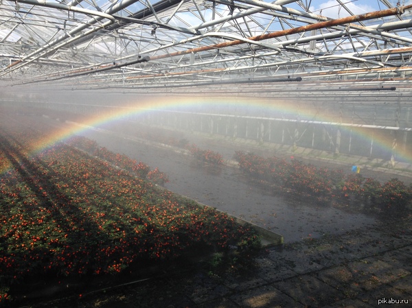 ��������� ������ � �������