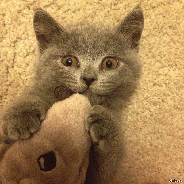 �������� ������ ����� �������, ���� �� ������ �� �������� :)