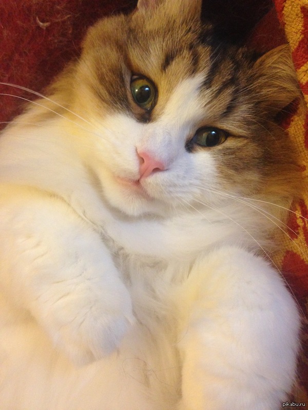 ��� ������� � ����� � ������, � ���� ��� ����, ��� �� ������� ���&amp;#128514; ������ 2 ���� �����������&amp;#128524;