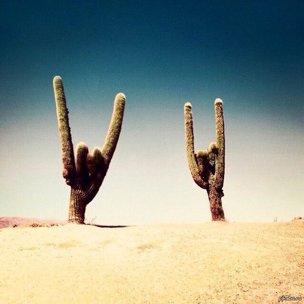 It's Rock N' Roll, baby!