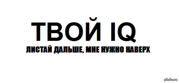  IQ 