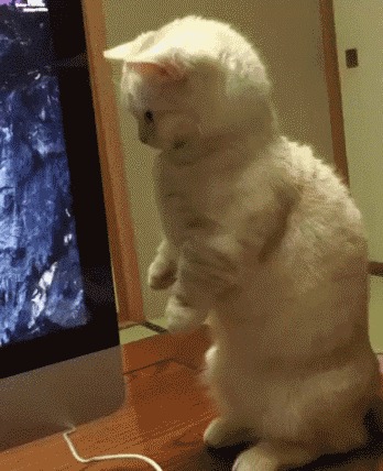 --    ? 