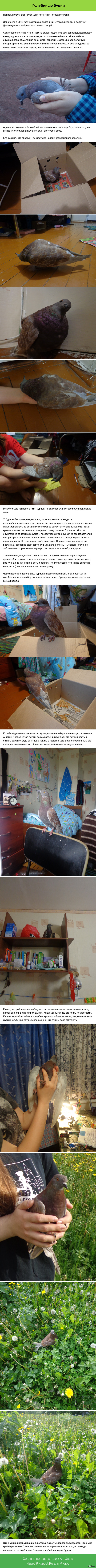 ��������� �����