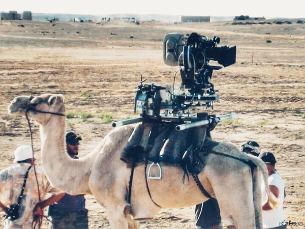 Гуглмобиль (Africa edition)