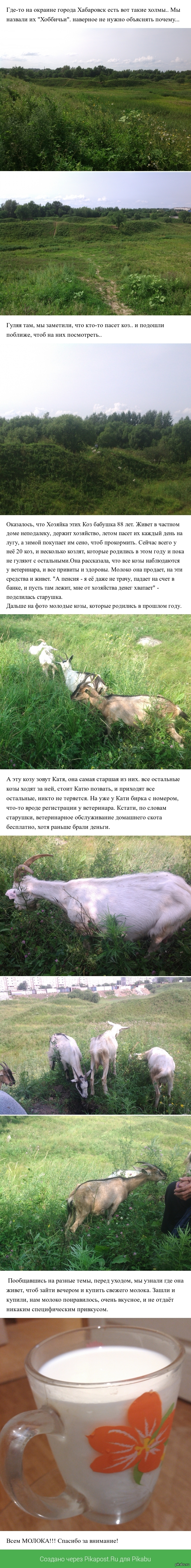 ��������� ����