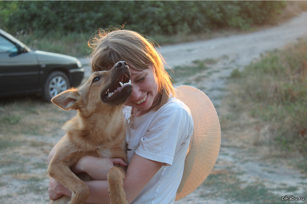 Каждой собаке — породистого хозяина!
