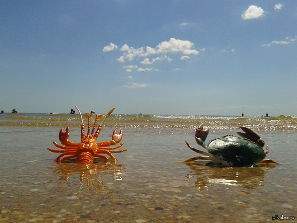 Даже у игрушек бывает отпуск