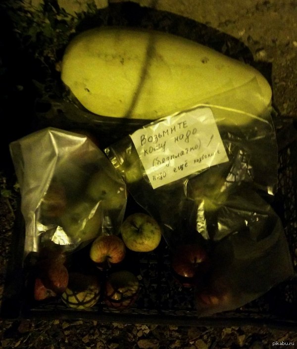 ���� ����� ����������