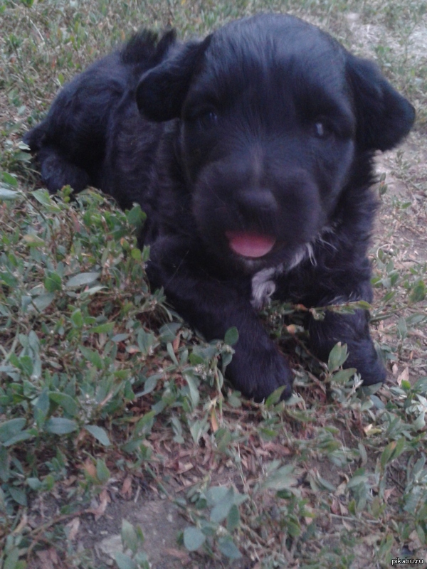 ���� ������ � �����)