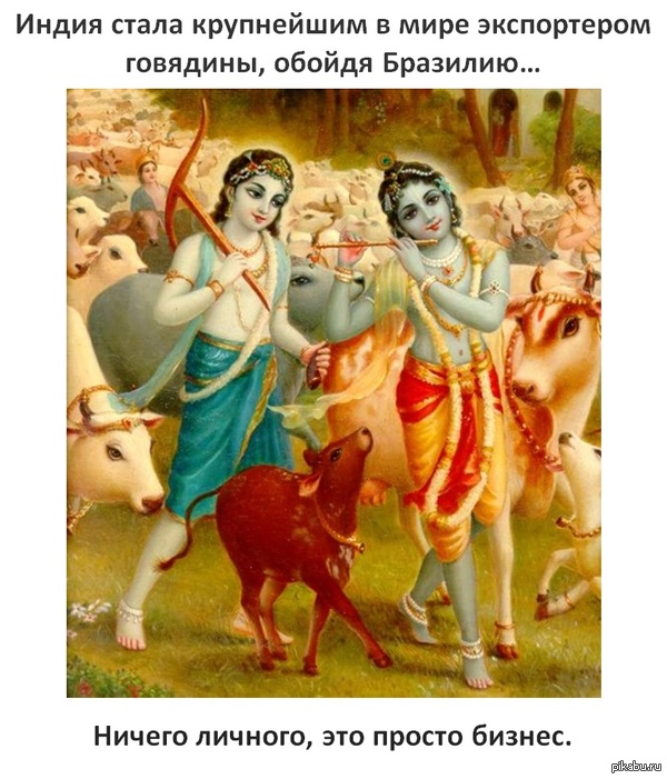 Sacred animal. - My, India, Cow, Sacred animal, Business