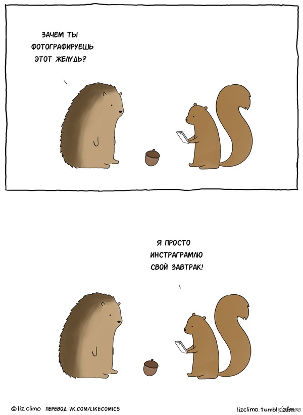   LizClimo -  