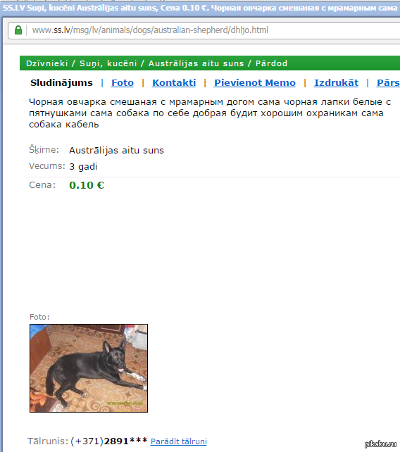 ���� ��������� ������?