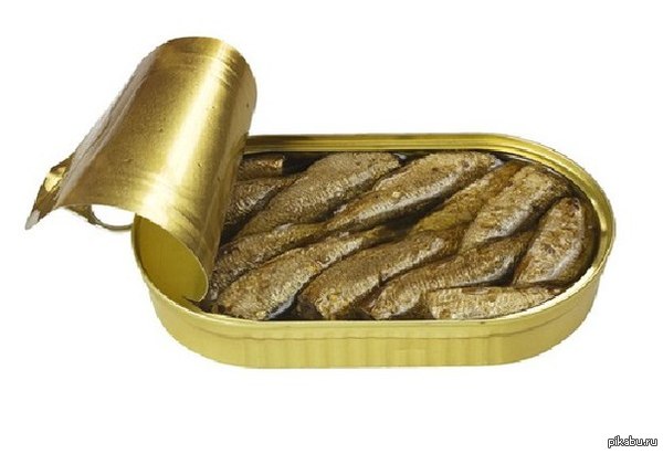 �������� ��� �� ������ ����.