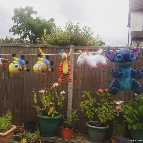 Улыбку вызывало у всех, кроме ребенка.