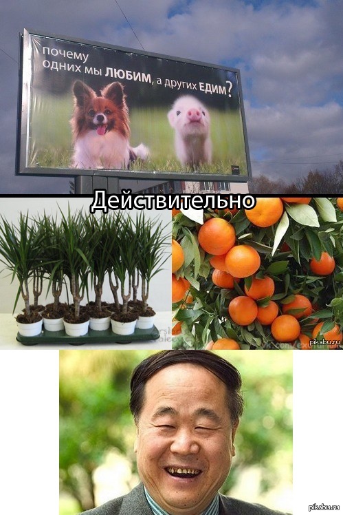 Хорошая шутка