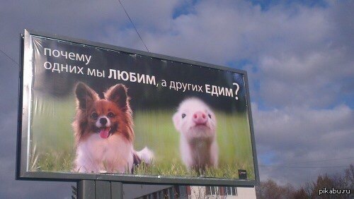 Потому что одни вкусные, а другие не очень :Р