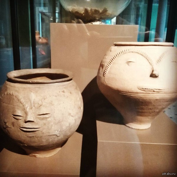 Кажется эти горшки что-то подозревают.